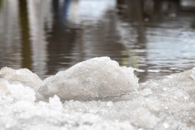 Весна грядёт. Синоптики рассказали, когда в Воронеже потеплеет до +2°