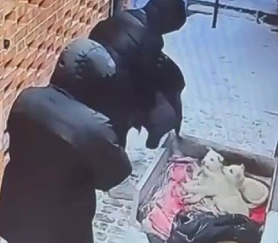 Бессердечный поступок двух женщин попал на видео в воронежском ЖК