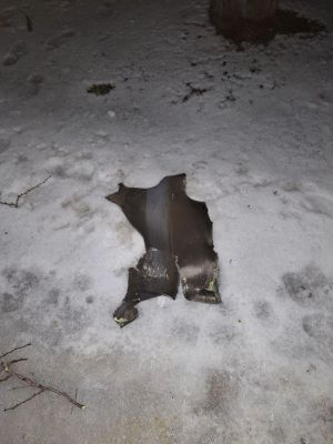 Белгородцы продолжают игнорировать запрет властей ради фото обломков БПЛА