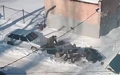 «Что делается!» Странное занятие воронежцев во дворе попало на видео 