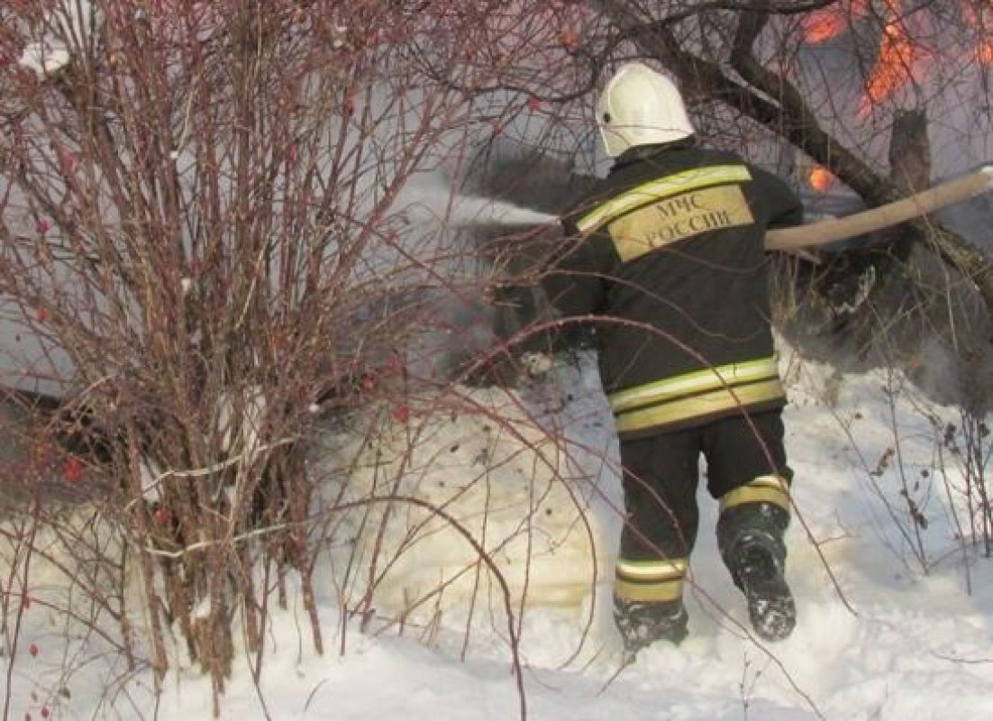 Парк-отель вспыхнул в&nbsp;Воронеже — пламя уничтожило вольер для&nbsp;животных