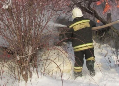 Парк-отель вспыхнул в Воронеже — пламя уничтожило вольер для животных