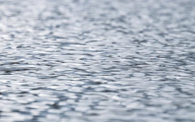 Об опасных погодных явлениях предупредили воронежцев