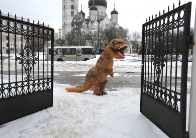Резкое похолодание до -12° нагрянет в Воронеж в конце месяца