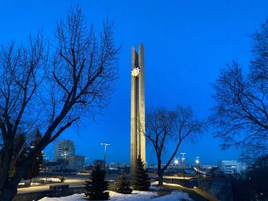 Атака средь бела дня и штраф для министра. Главные новости Воронежа и области за 25 февраля