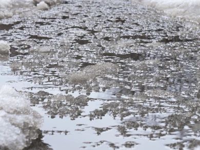 Дождь со снегом вновь обрушится на Воронеж