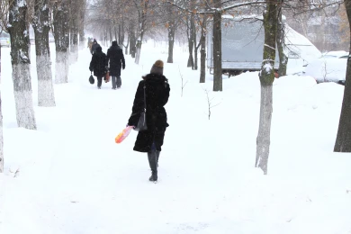 Резкий перепад температур на 11° обрушится на воронежцев 