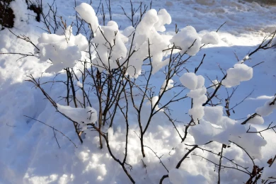 Прогноз погоды в Воронеже на пятницу, 27 февраля