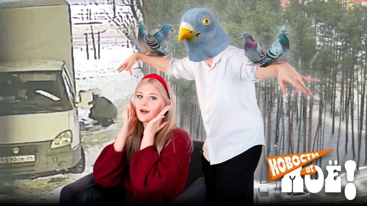 Нападение птиц на&nbsp;воронежанку и&nbsp;шестичасовой плен в&nbsp;лифте: что&nbsp;потрясло город на&nbsp;этой неделе