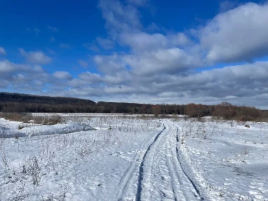 Несколько десятков воронежцев получили обморожение за неделю