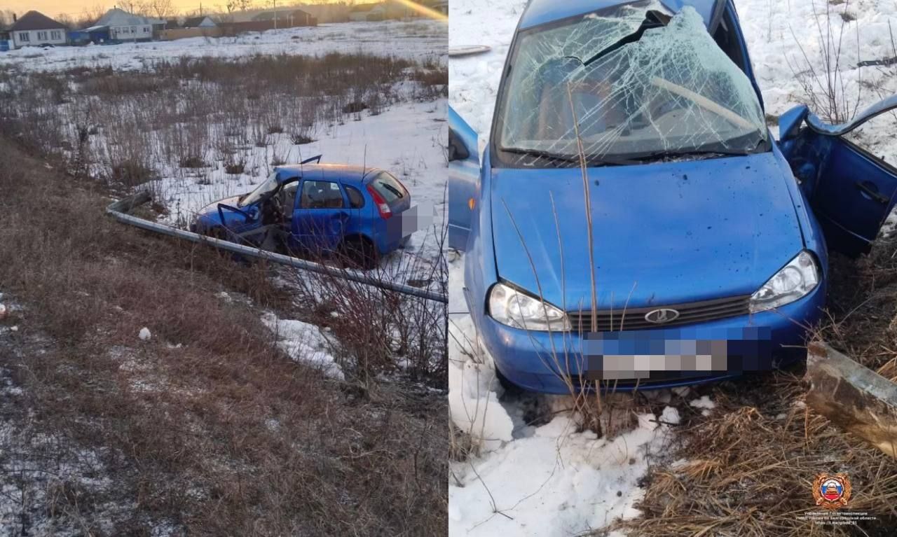 Три перевертыша обнаружили гаишники на белгородских дорогах