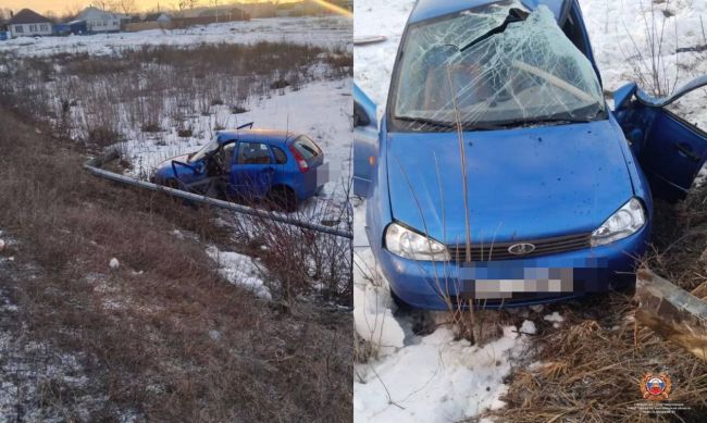 Три перевертыша обнаружили гаишники на белгородских дорогах