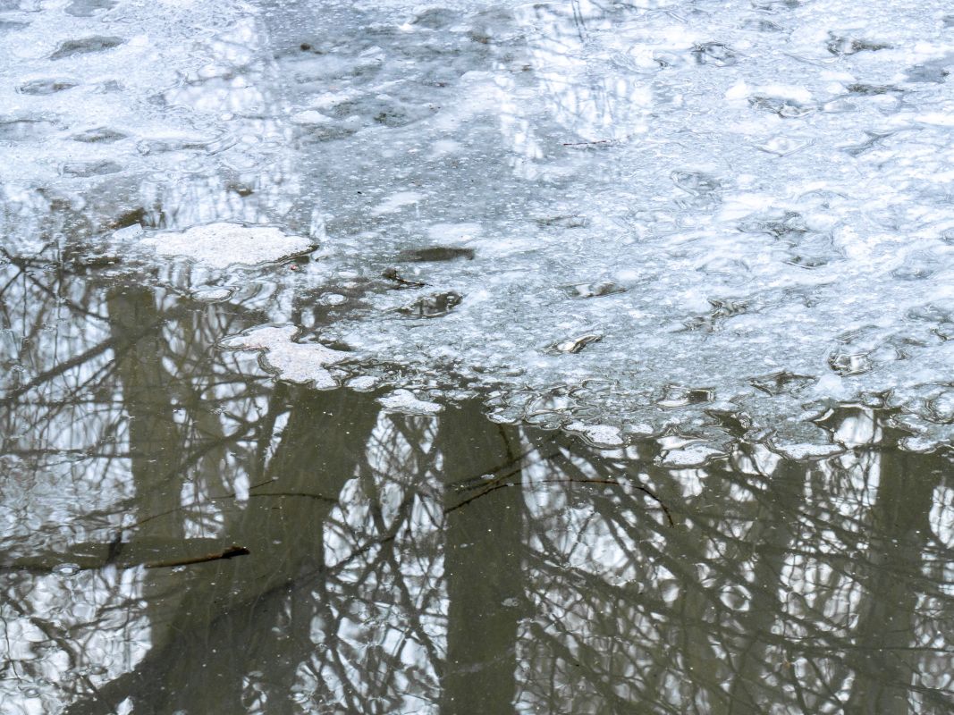 Снегопады накроют Воронеж в начале марта&nbsp;