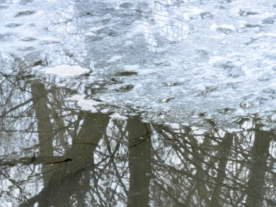 Снегопады накроют Воронеж в начале марта 