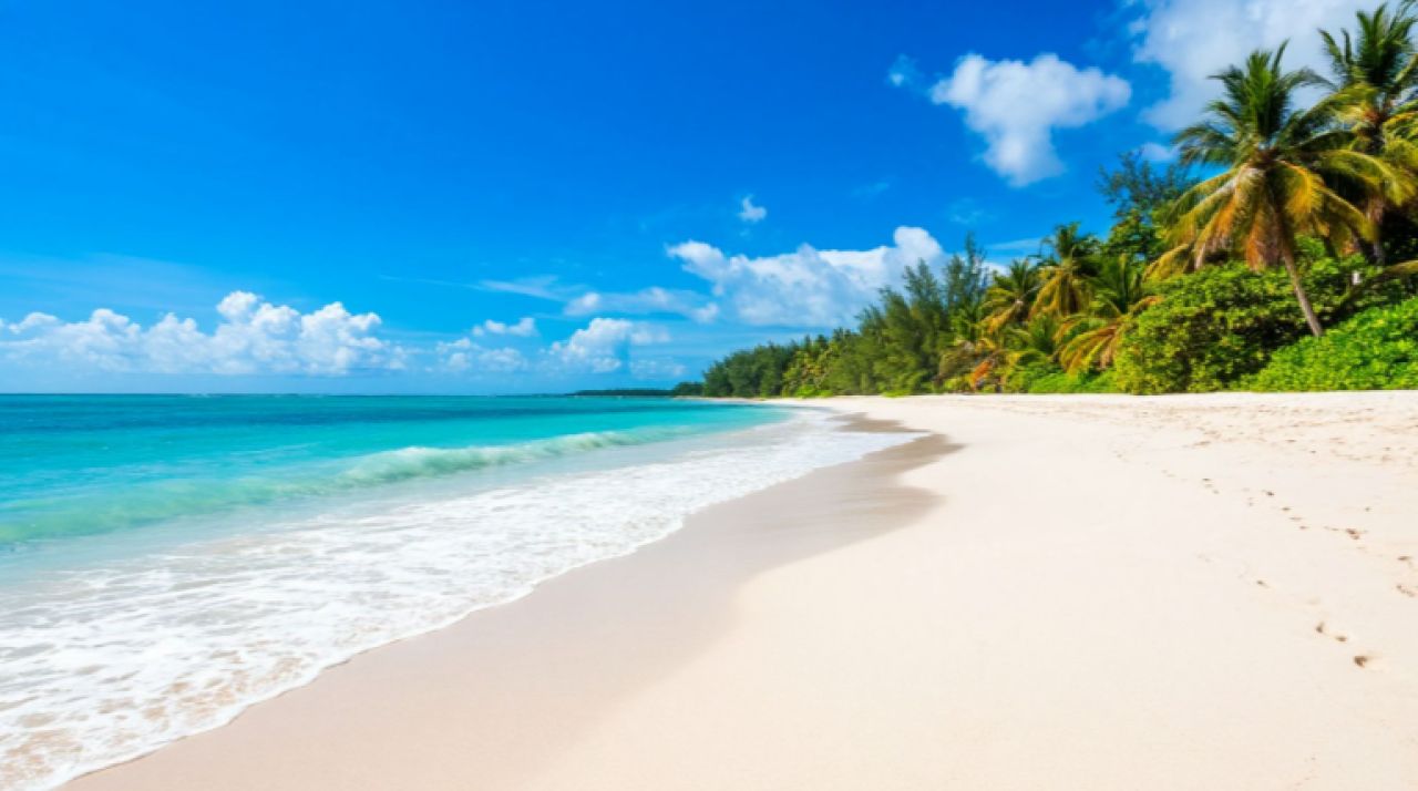 Главное за&nbsp;ночь. Российские туристы в&nbsp;ОАЭ загорают на&nbsp;пляжах во&nbsp;время взрывов, а&nbsp;огромный медведь разорил американца