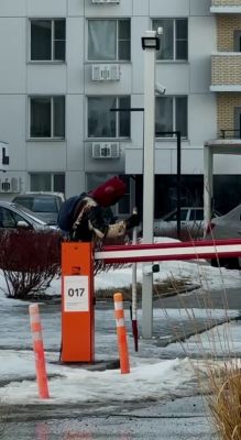 Герой американского блокбастера Дэдпул ломает лед в белгородских дворах