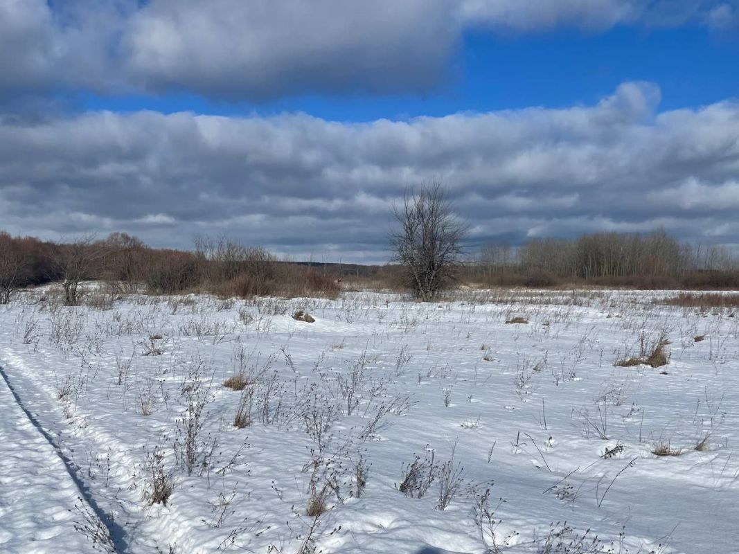 Снегопады задержатся в Воронеже