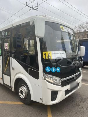 За ДТП с тремя сбитыми пешеходами ответит в суде водитель воронежского автобуса