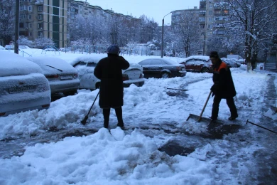Похолодание до -9° нагрянет в Воронежскую область весной