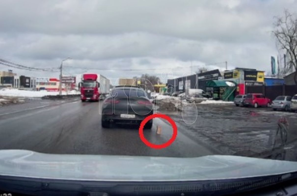 Поел и&nbsp;намусорил. Свинское поведение водителя возмутило воронежанку (ВИДЕО)