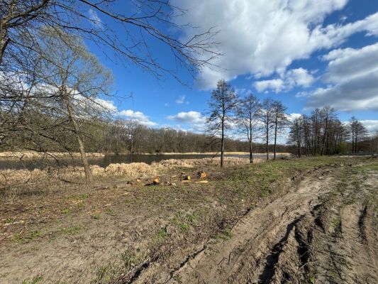 Сделки по передаче земли в водоохранной зоне в Воронежской области признаны незаконными