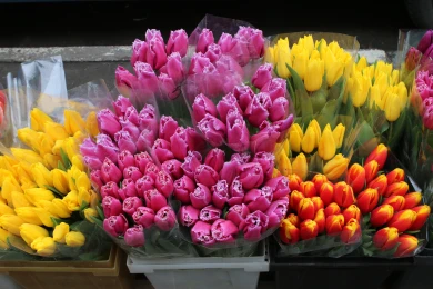 Выяснилось, как воронежцы будут работать в праздничную неделю