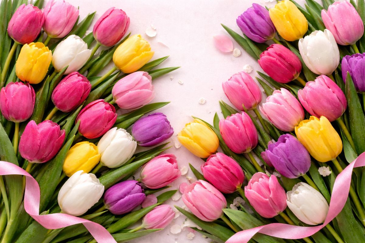 Что подарить на 8 Марта: идеи презентов любимым женщинам