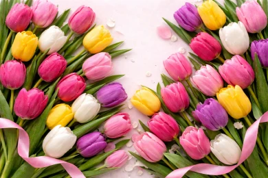 Что подарить на 8 Марта: идеи презентов любимым женщинам