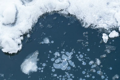 До +7° наконец-то потеплеет в Воронеже