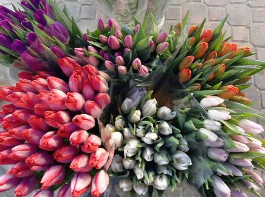 От депутатов до музыкантов: жительницам Воронежа подарили самую искреннюю видеооткрытку