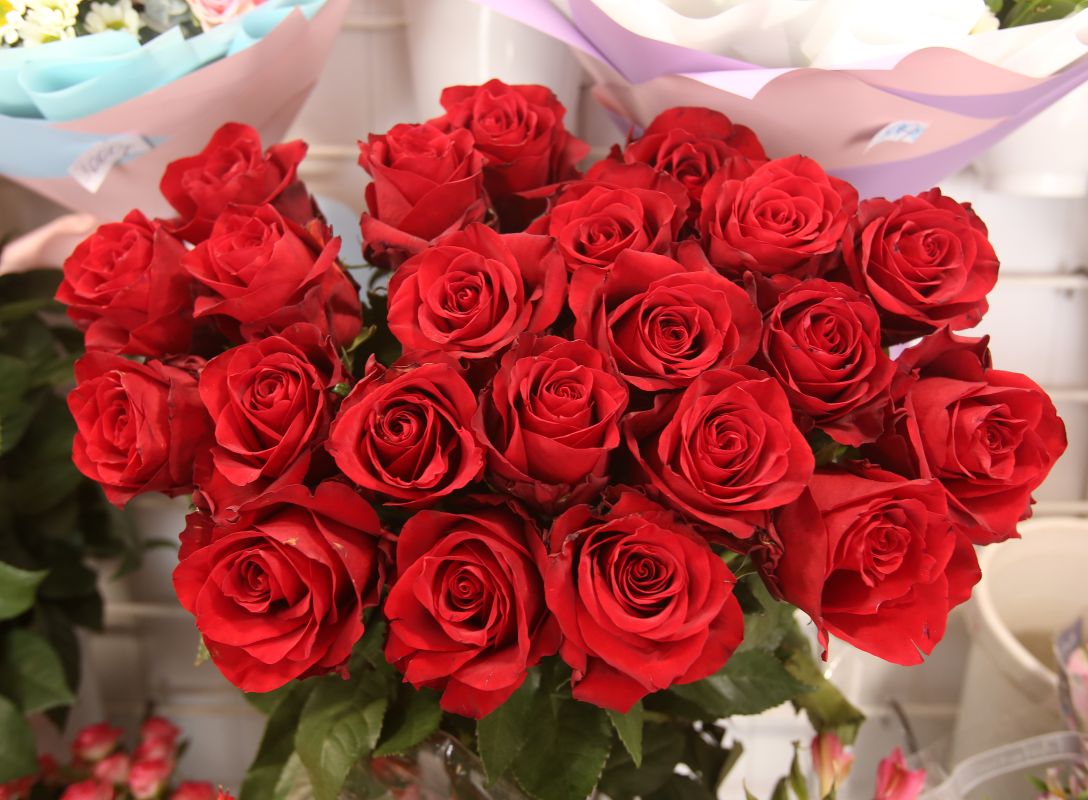 Депутат Госдумы Сергей Чижов поздравил жительниц Воронежской области с 8 Марта (Видео) &nbsp;