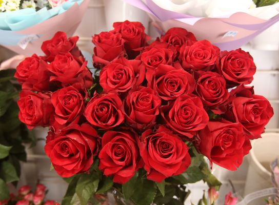 Депутат Госдумы Сергей Чижов поздравил жительниц Воронежской области с 8 Марта (Видео)  