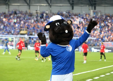 Тренера воронежского «Факела» дисквалифицировали на два матча