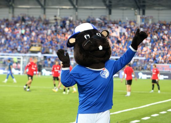 Тренера воронежского «Факела» дисквалифицировали на два матча