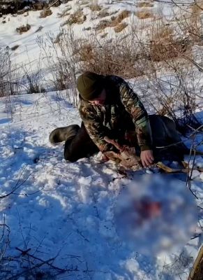 Белгородец спас косулю из силков в зоне дрессировки собак