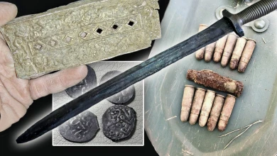 Стрелы, копья, бивни мамонта. Какие удивительные находки хранит воронежская земля