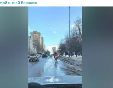 «Как в Индии». Переехавший в Воронеж водитель был в шоке от ситуации на дорогах города