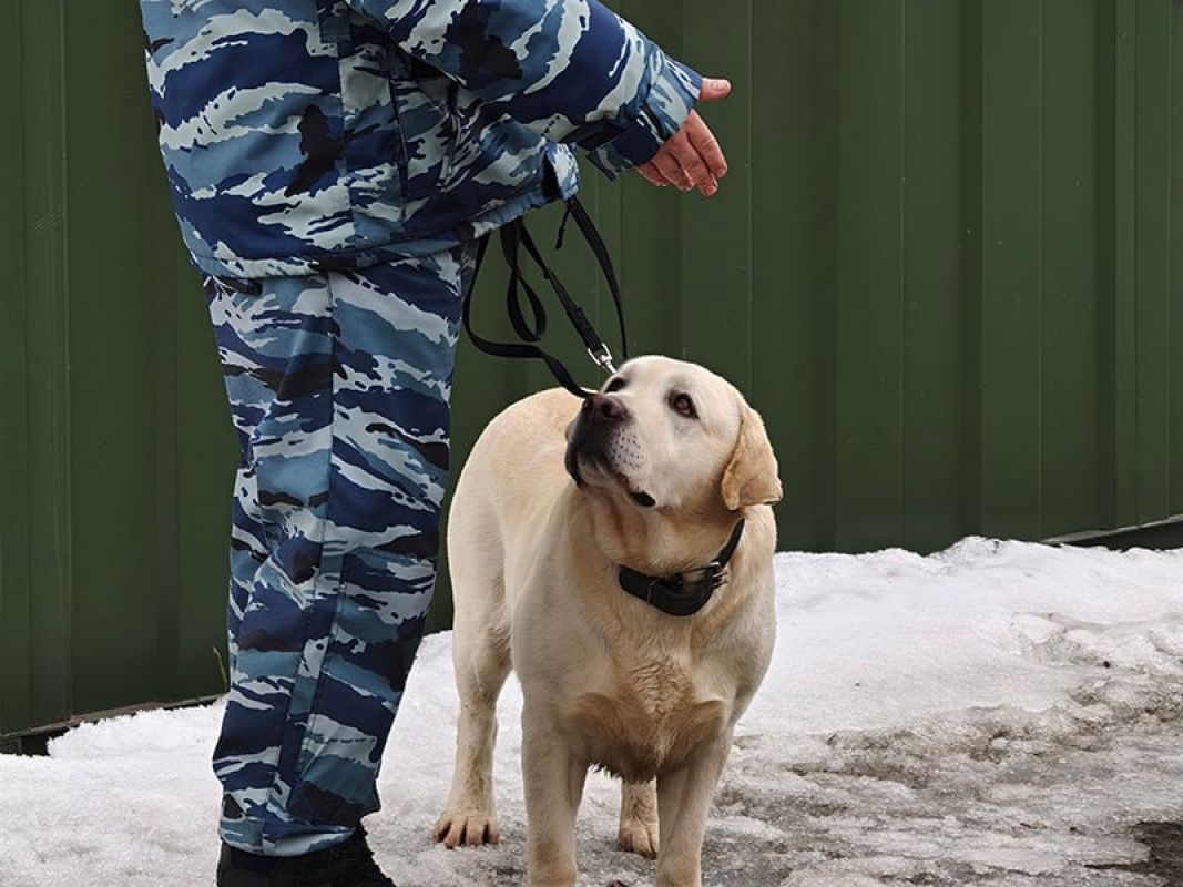 Студентов белгородского универа вывели на улицу: силовики проверяют здание