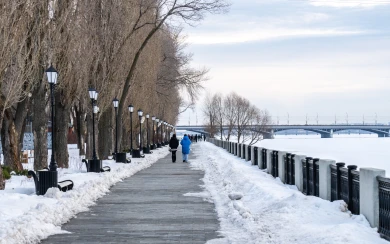 Выяснилось, вернутся ли в Воронеж морозы 