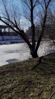 Жители Белгорода бьют тревогу из-за слива фекалий в Везёлку