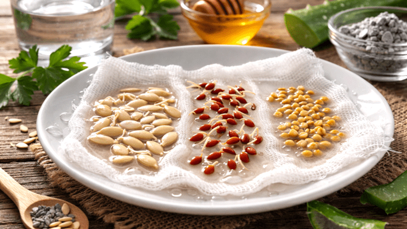 Мёд, алоэ или картофельный сок?