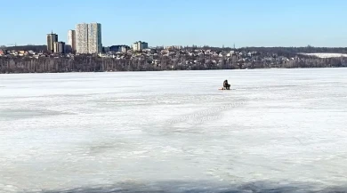 «Пингвина» заметили на Воронежском водохранилище 