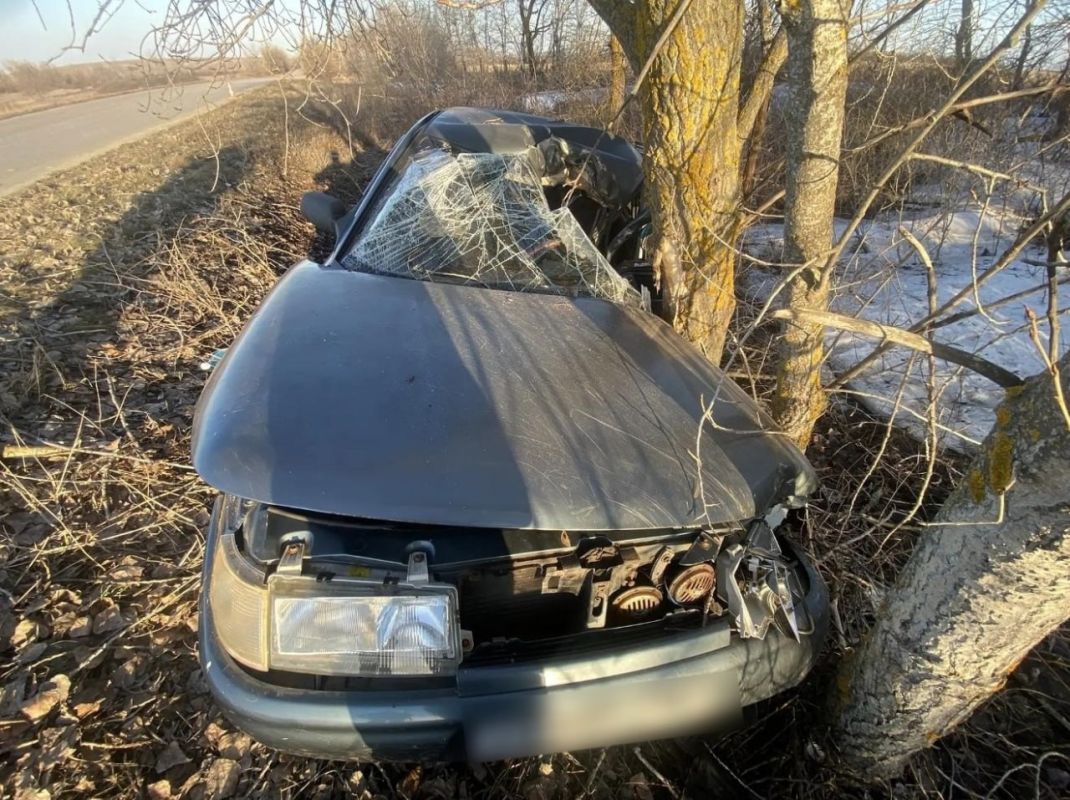 Машина врезалась в&nbsp;дерево на&nbsp;трассе в&nbsp;Воронежской области — есть пострадавший