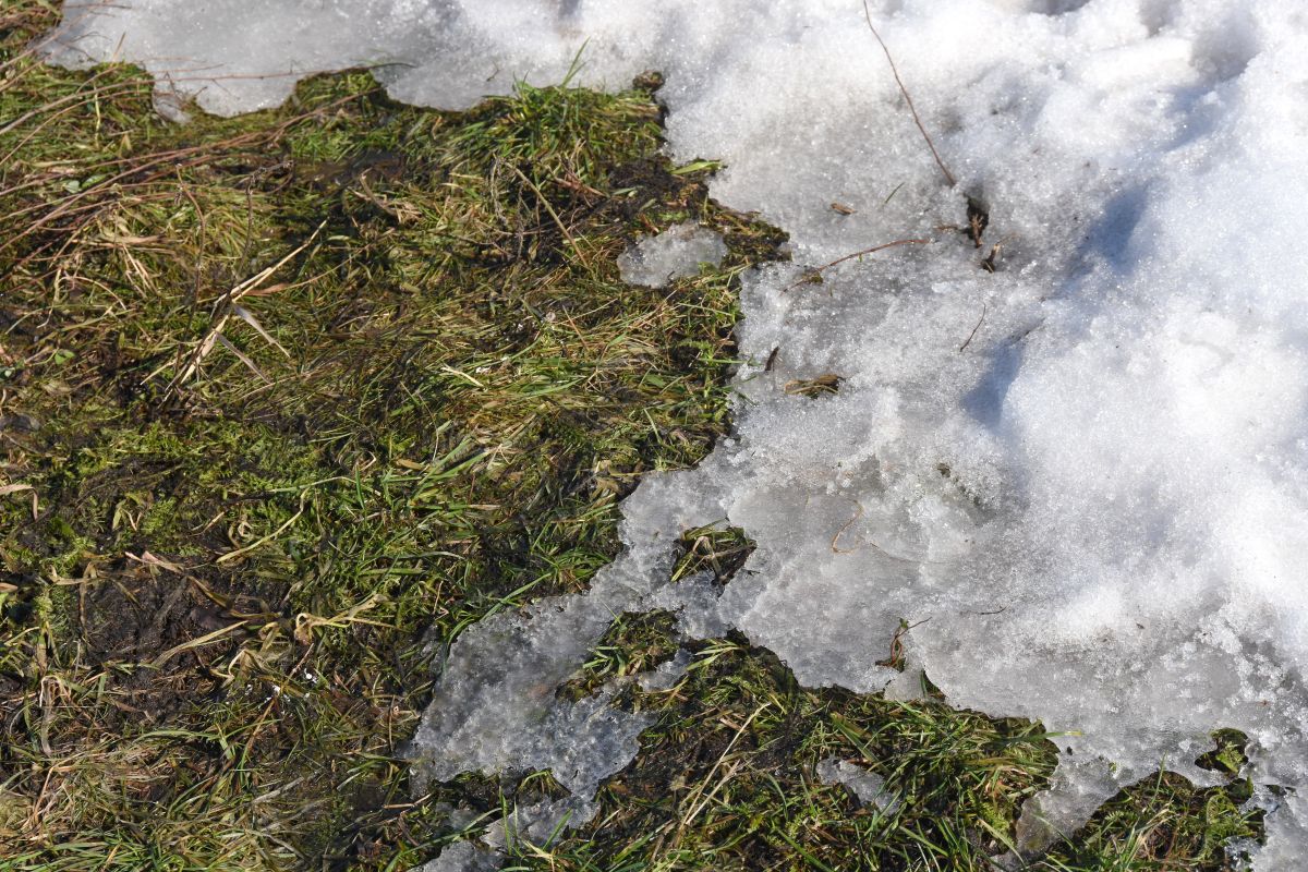 Снег вновь пойдёт в Воронеже&nbsp;