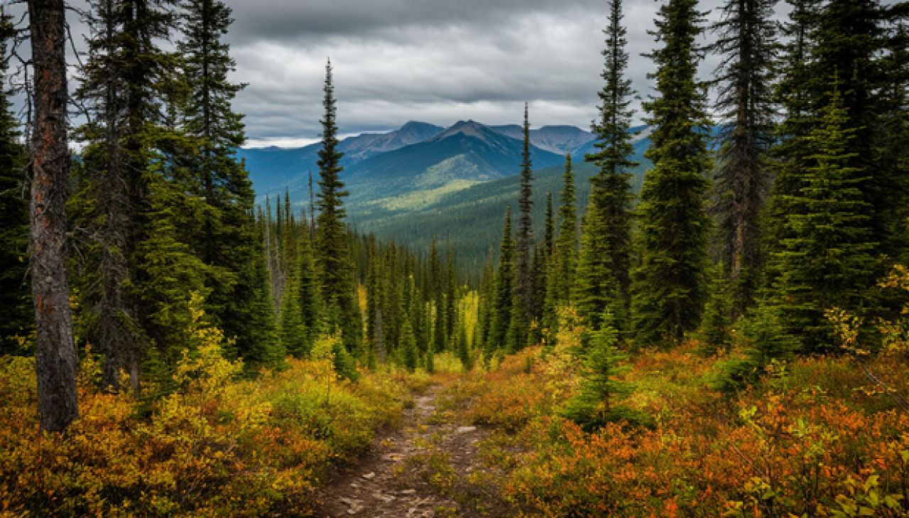 Отец взял 4-летнего малыша на охоту: ребёнок и мужчина погибли