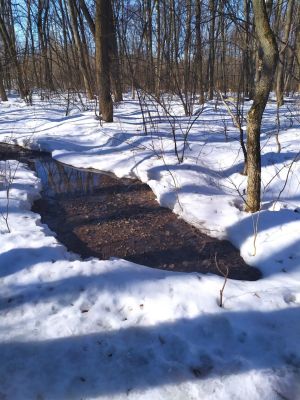 Гигантскую лужу из сточных вод обнаружили в Нагорной Дубраве