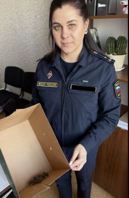 С необычной гостьей столкнулись воронежские приставы