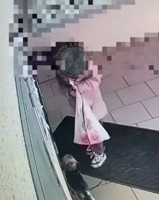 «Больно смотреть». Воронежцы сняли на видео жестокий поступок девочки в подъезде