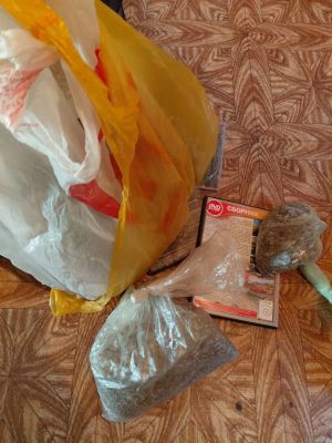 Собирательство диких растений довело воронежца до уголовного дела