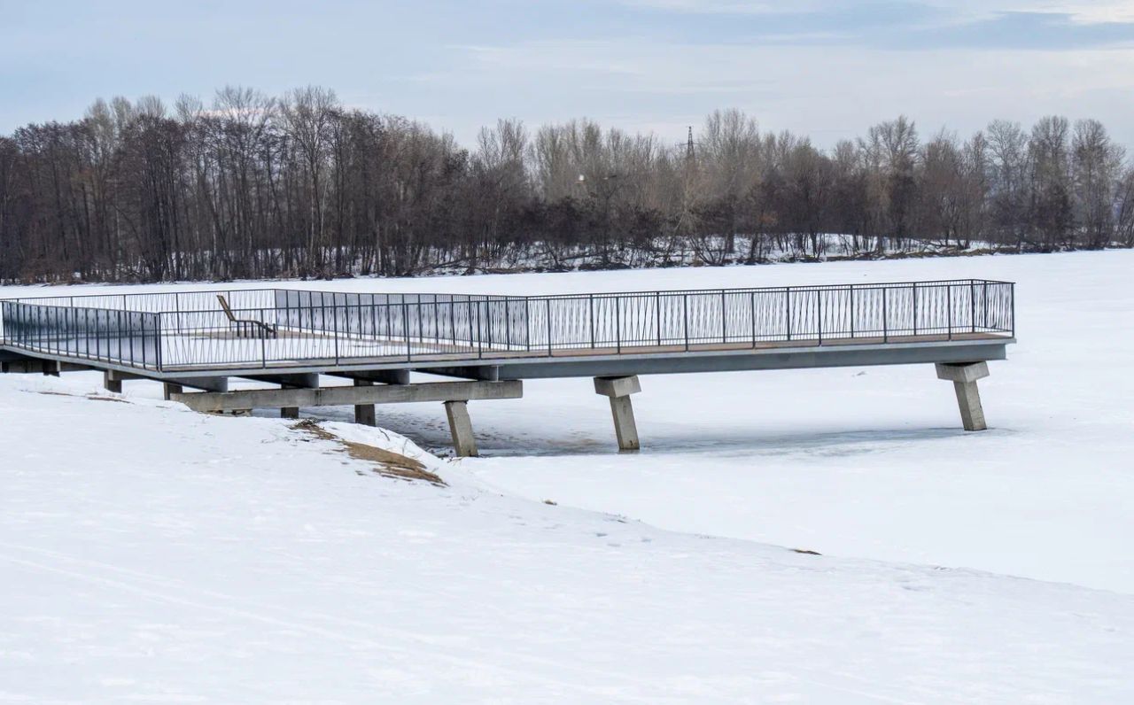 На набережной Воронежа ввели режим ЧС из-за состояния мостов